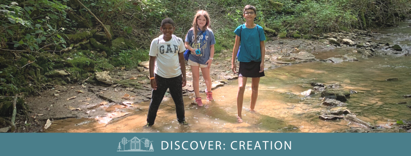 Discover Creation Web Banner